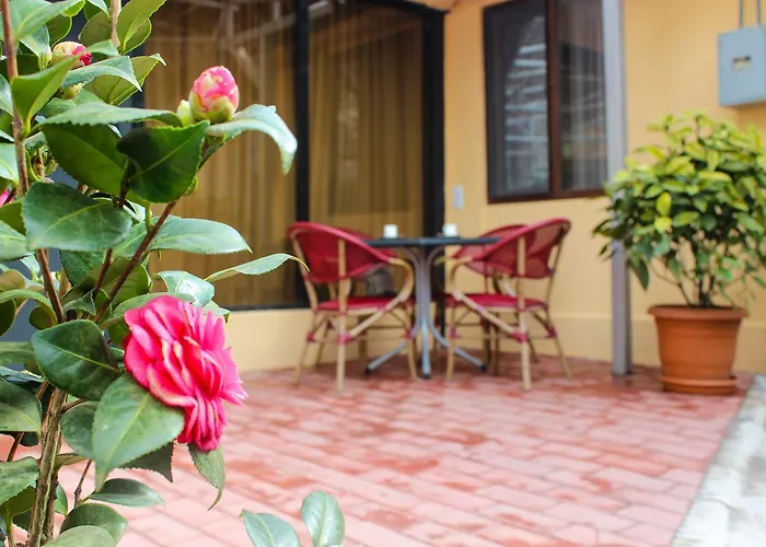Lasha Apartment